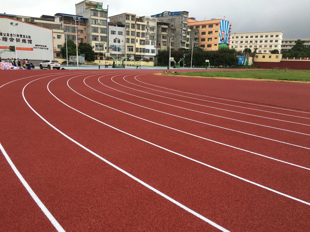 汕头市塑胶跑道塑胶跑道材料 - 排名